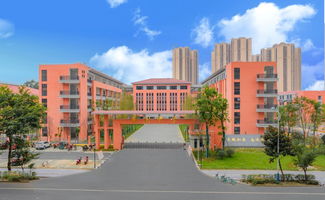 杭州市崇文实验学校：探索教育创新的典范